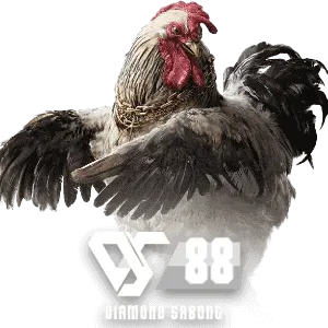 taya777 sabong DS88